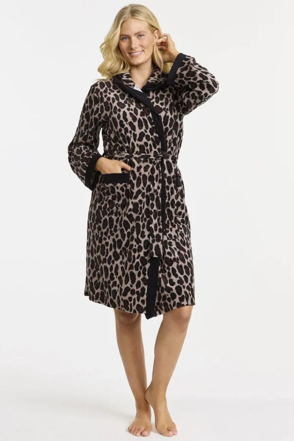 Rock - Leopard