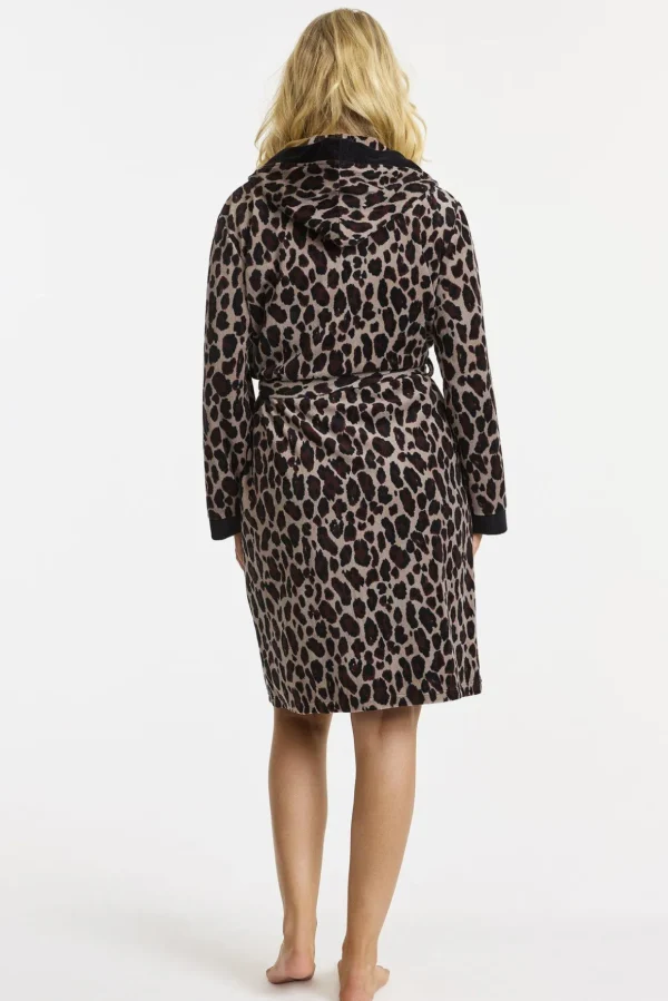 Rock - Leopard